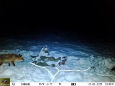 Fotopast KeepGuard KG795W a klasický dalekohled FOMEI 7-21x40 ZCF Zoom + 32GB SD karta, 8ks baterií a doprava ZDARMA!